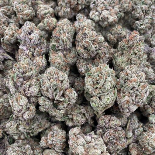 Garlotti strain, indica-dominant hybrid strain celebrated for its bold aroma, rich flavor profile, and deeply calming effects. Bred from the legendary GMO..