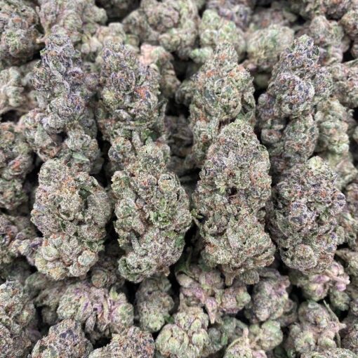 Garlic cocktail strain, Known for its complex terpene profile and powerful body effects, Garlic Cocktail is a top choice for cannabis lovers who