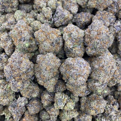 Florida kush strain, combines the classic punch of Kush genetics with a tropical twist. Known for its soothing effects and citrus-forward aroma..