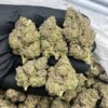 Apple runtz strain With the genetic power of Apple Fritter x Runtz, this strain delivers eye-catching buds, a strong nose, and a terpene profile rich in..