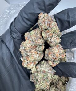 Apple tart strain Apple Tart offers a relaxing body buzz with a clear-headed mental lift, making it ideal for daytime or evening use. It helps relieve..