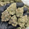 Bermuda Triangle strain a powerful indica-dominant hybrid that lives up to its name — intensely potent, deeply relaxing, and totally immersive..