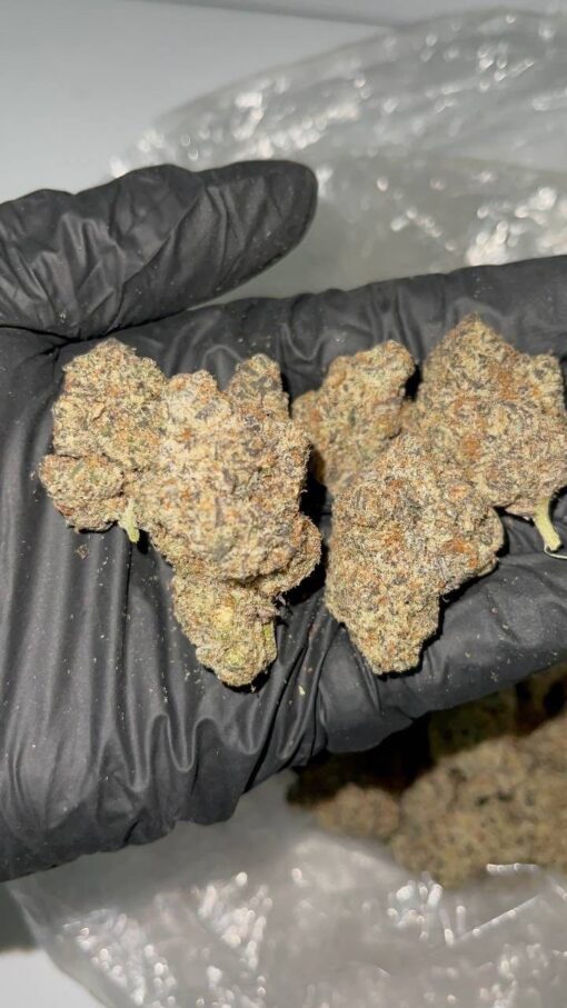 Bittersweet strain Enjoy a velvety-smooth inhale and rich clouds with a terpene profile designed to enhance both taste and therapeutic effect. Bittersweet..