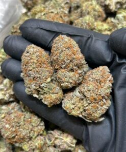 Cake batter strain Cake Batter’s dessert-like flavor makes it a fan favorite among users who want taste and effect in one perfect puff. Expect a mellow but.