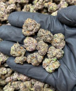 Black truffle strain indica-dominant hybrid that offers a rich, earthy flavor profile paired with deeply relaxing effects. Known for its exotic lineage..