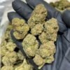 Blue coffee strain a rare hybrid strain celebrated for its unique flavor fusion of roasted coffee and sweet blueberries. With a smooth, aromatic smoke..