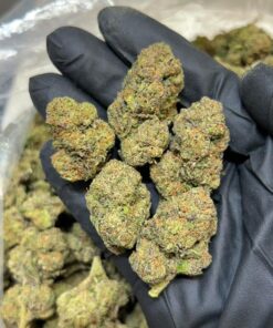 Blue coffee strain a rare hybrid strain celebrated for its unique flavor fusion of roasted coffee and sweet blueberries. With a smooth, aromatic smoke..