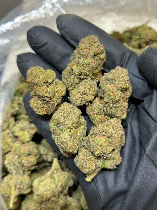 Blue coffee strain a rare hybrid strain celebrated for its unique flavor fusion of roasted coffee and sweet blueberries. With a smooth, aromatic smoke..