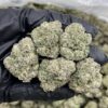 mitten cake batter strain Hailing from Michigan’s elite craft growers (hence the “Mitten” nickname), this strain is all about sweet, creamy hits and full-..