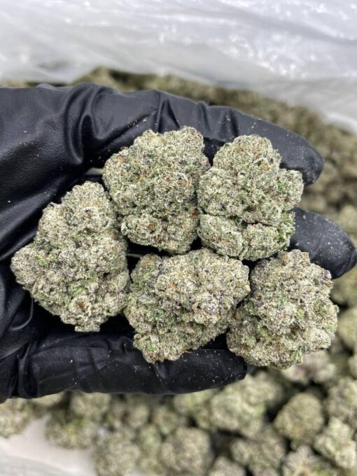 mitten cake batter strain Hailing from Michigan’s elite craft growers (hence the “Mitten” nickname), this strain is all about sweet, creamy hits and full-..