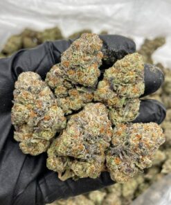 Black runtz an elite hybrid strain that brings together the sweet, candy-like flavor of the original Runtz with deeper, more relaxing effects and darker..