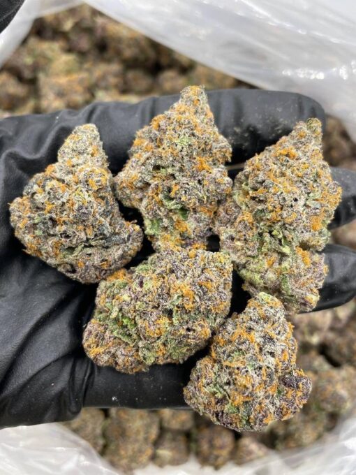 Black cherry gelato strain a top-shelf hybrid known for its intensely sweet flavor, gorgeous purple hues, and deeply relaxing effects. A cross between ..