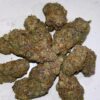 Cheetah piss strain combining Lemonade, Gelato 42, and London Poundcake 97 to deliver a pungent punch of sweet citrus, funky skunk, and creamy fuel..