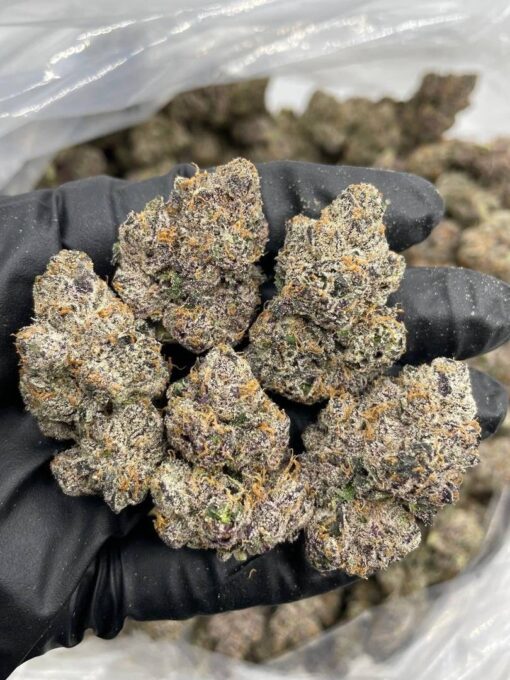Candy runtz fruity flavor, sugary aroma, and well-rounded high. This popular cultivar is the perfect blend of uplifting sativa energy and relaxing..