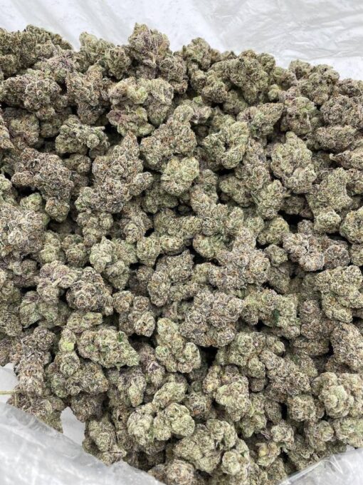 Candy store strain hybrid strain known for its sweet, fruity aroma and long-lasting, mood-boosting effects. A visual and sensory treat, this strain combi..
