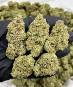 Carbon fiber strain luxury-tier hybrid strain known for its complex flavor profile, dense, frosty buds, and a smooth yet powerful high..