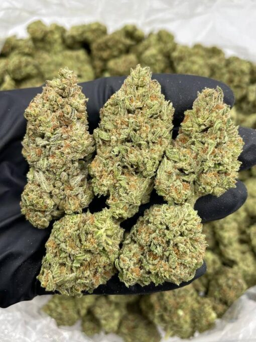 Carbon fiber strain luxury-tier hybrid strain known for its complex flavor profile, dense, frosty buds, and a smooth yet powerful high..