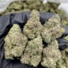 Cap junky strain not your average hybrid—it’s an intensely potent, terp-rich strain bred for experienced users seeking maximum strength and bold flavor..