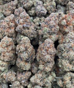 Sativa-dominant strain known for its extremely pungent aroma, sharp diesel notes, and classic cerebral effects. Not for the faint