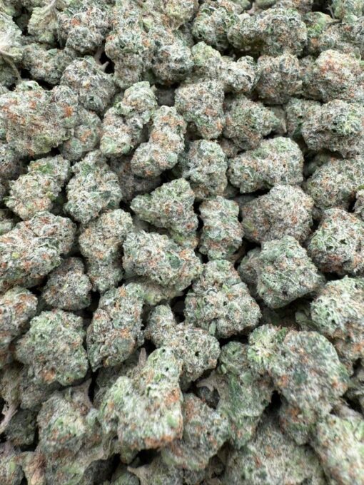 cherry banana og strain potent indica-dominant hybrid known for its sweet, fruity aroma and heavy-hitting body high. This strain fuses the delicious notes..