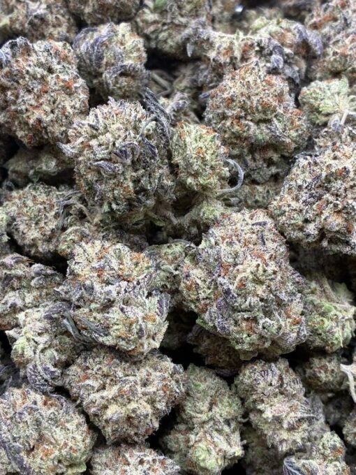 Cherry cheesecake strain a decadent indica-dominant hybrid that delivers a rich, dessert-like flavor with deeply soothing effects. Known for its sweet..