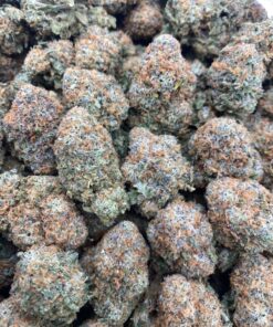 Cherry gelato well-balanced hybrid strain that delivers a mouthwatering cherry flavor with creamy Gelato smoothness. Born from the flavorful genetics of..