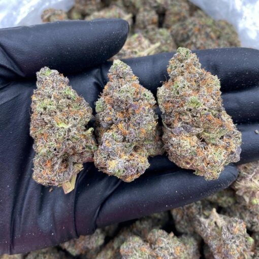 z runtz powerful hybrid strain born from two iconic genetics: Zkittlez and Runtz. The result? A vibrant explosion of fruity candy flavor..