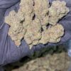 bolo runtz exotic hybrid strain known for its candy-sweet flavor, colorful nugs, and balanced, long-lasting effects. A rare cross that takes..