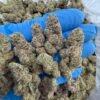 Cherry punch strain hybrid strain known for its burst of sweet cherry flavor and potent, mood-lifting effects. A cross between Cherry AK-47 and..