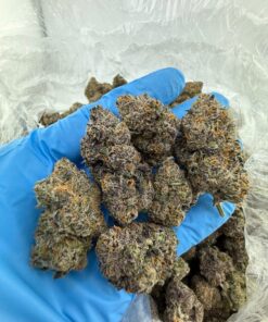Cherry runtz a flavor-forward hybrid strain that combines the iconic sweetness of Runtz with a bold burst of ripe cherry. Known for its mouthwatering...