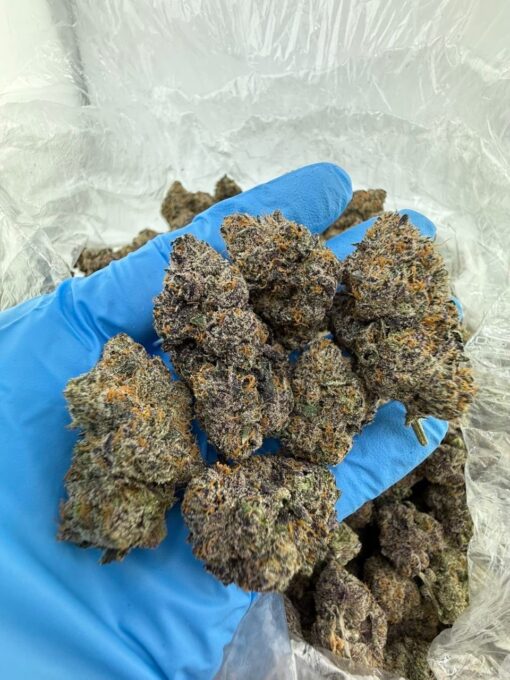 Cherry runtz a flavor-forward hybrid strain that combines the iconic sweetness of Runtz with a bold burst of ripe cherry. Known for its mouthwatering...