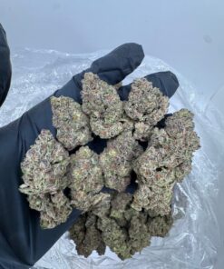 triangle kush a potent indica-dominant strain that hails from Florida’s famed “Emerald Triangle” — Jacksonville, Miami, and Tampa — where it earned its..