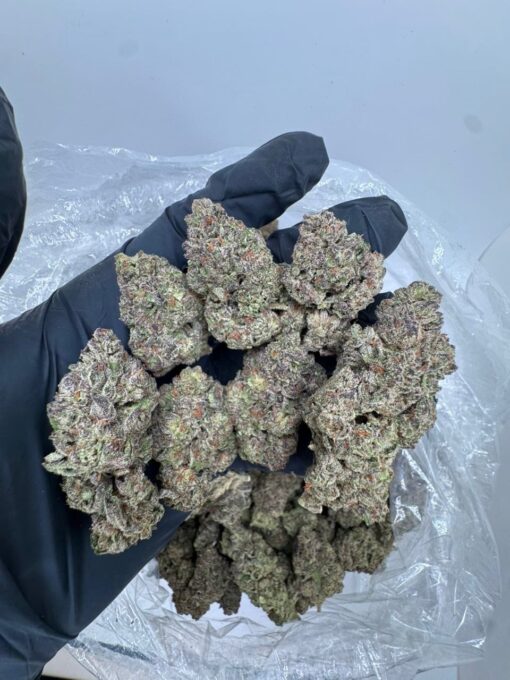 triangle kush a potent indica-dominant strain that hails from Florida’s famed “Emerald Triangle” — Jacksonville, Miami, and Tampa — where it earned its..