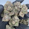devil driver weed strain sativa-dominant hybrid bred for thrill-seekers and heavy hitters. This hard-hitting cross between Melonade and Sundae Driver..