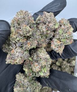 devil driver weed strain sativa-dominant hybrid bred for thrill-seekers and heavy hitters. This hard-hitting cross between Melonade and Sundae Driver..