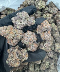 blueberry nerdz powerful, flavor-loaded strain that blends the candy-like sweetness of blueberries with a funky, sour twist that punches through every puff.