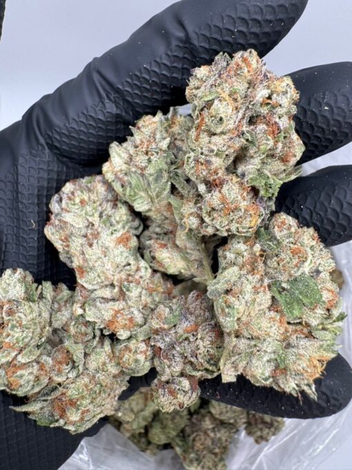 Cotton candy strain legendary indica-dominant hybrid known for its sugary-sweet aroma, smooth smoke, and relaxing yet uplifting effects. With..