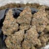 Garlic cocktail strain This heavy-hitting hybrid is a pungent powerhouse that blends the savory funk of garlic terps with a surprisingly smooth, citrusy..