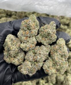 Coochie runtz perfectly balanced hybrid that combines exotic candy-like sweetness with a smooth, gassy backbone. This is that boutique-level..