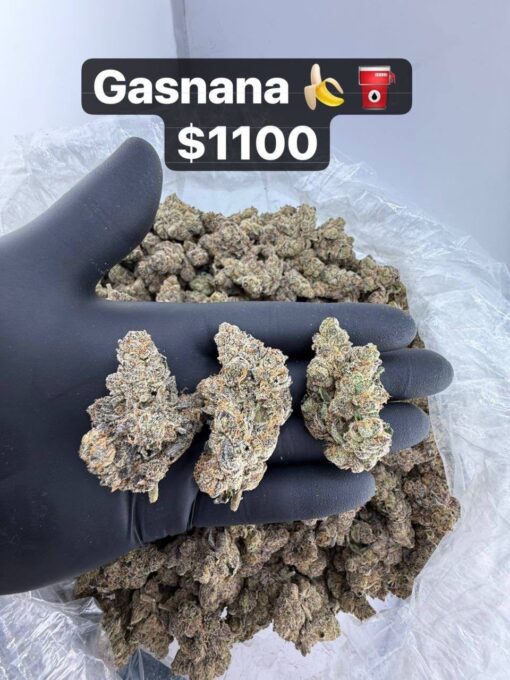 gasnana This indica-dominant hybrid slaps with a wild mix of creamy banana flavor and heavy diesel funk, delivering a high that’s..