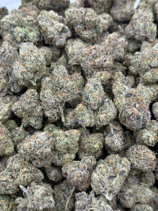 candy gumbo strain deep, sticky hybrid that blends loud sweetness with funky, savory undertones. Born from powerhouse genetics, this strain hits..